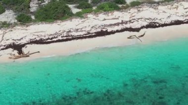 Güneşli bir günde Catalina sahilinin en üst manzarası, kristal berrak deniz ve vahşi kumlu sahil, Karayip Denizi. Catalina Adası. Dominik Cumhuriyeti..