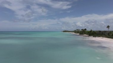 Harika Saona plajı, turkuaz deniz ve kumlu sahil manzarası. Saona Adası, Dominik Cumhuriyeti..
