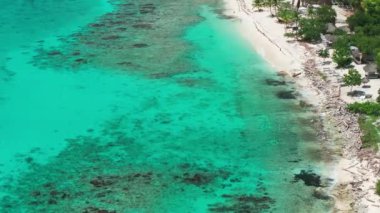 Catalina sahili, turkuaz deniz ve kumlu sahil manzarası, Catalina adası tropik bir sahil, Karayip denizi ve vahşi adası. Dominik Cumhuriyeti yaz konsepti..