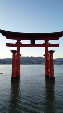 Itsukushima Tapınağı Miyajima Hiroşima Japonya denizde yüzüyor. Yüksek kaliteli FullHD görüntüler
