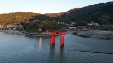 Itsukushima Tapınağı Miyajima Hiroşima Japonya denizde yüzüyor. Yüksek kaliteli FullHD görüntüler