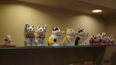 Maneki nekos maneki neko teklif etti. Yüksek kalite 4k görüntü