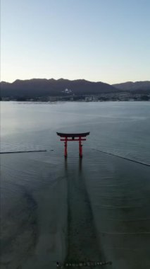 Itsukushima Tapınağı Miyajima Hiroşima Japonya denizde yüzüyor. Yüksek kaliteli FullHD görüntüler
