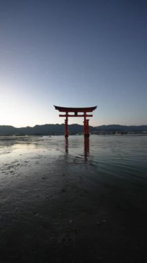 Itsukushima Tapınağı Miyajima Hiroşima Japonya denizde yüzüyor. Yüksek kaliteli FullHD görüntüler