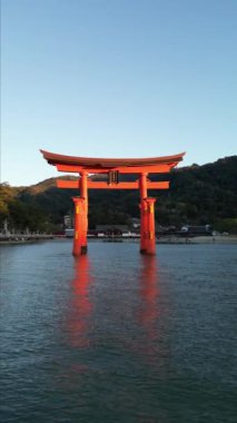 Itsukushima Tapınağı Miyajima Hiroşima Japonya denizde yüzüyor. Yüksek kaliteli FullHD görüntüler