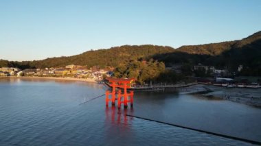 Itsukushima Tapınağı Miyajima Hiroşima Japonya denizde yüzüyor. Yüksek kaliteli FullHD görüntüler