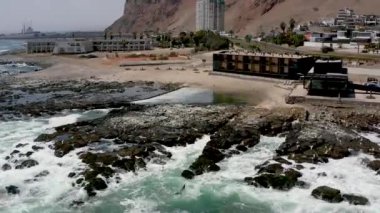 Şili 'nin Arica şehrinde, denizin üzerinde uçan yüzlerce kuşun 4K insansız hava aracı. Yüksek kalite 4k görüntü