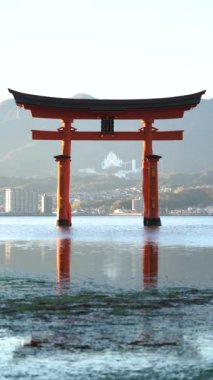 Itsukushima Tapınağı Miyajima Hiroşima Japonya 'nın denizin üzerinde dikey yüzdüğü yazıyor. Tabelada Itsukushima Tapınağı yazıyor. Yüksek kaliteli FullHD görüntüler