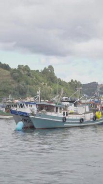 Chiloe Adası 'nda sakin sularda yüzen balıkçı teknesi. Yüksek kalite 4k görüntü