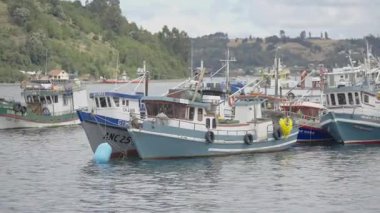 Chiloe Adası 'nda sakin sularda yüzen balıkçı teknesi. Yüksek kalite 4k görüntü
