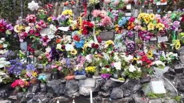 Renkli Çiçeklerle Bakire Mary Grotto. Yüksek kalite 4k görüntü