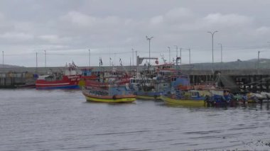 Chiloe Adası 'nda sakin sularda yüzen balıkçı teknesi. Yüksek kalite 4k görüntü