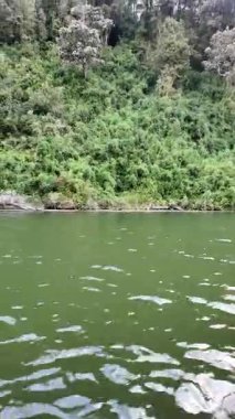 Riverside Ormanı ve Bulutlu Gökyüzü 'nün Manzarası. Yüksek kalite 4k görüntü