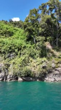 Riverside Ormanı ve Bulutlu Gökyüzü 'nün Manzarası. Yüksek kalite 4k görüntü
