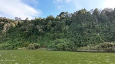 Riverside Ormanı ve Bulutlu Gökyüzü 'nün Manzarası. Yüksek kalite 4k görüntü
