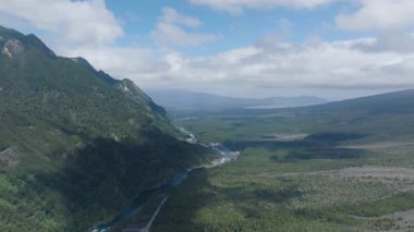 Yeşil vadiden akan orman nehri. Yüksek kalite 4k görüntü