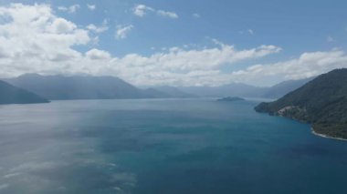 Yeşil vadiden akan orman nehri. Yüksek kalite 4k görüntü