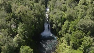 Yeşillikte Şelale Gizli Hava Ormanı. Yüksek kalite 4k görüntü