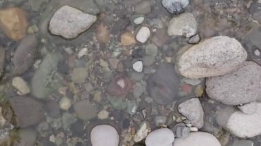 Yeşillikte Şelale Gizli Hava Ormanı. Yüksek kalite 4k görüntü