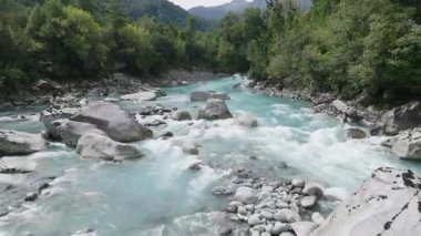 Yeşillikte Şelale Gizli Hava Ormanı. Yüksek kalite 4k görüntü