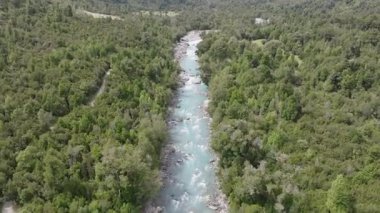 Yeşillikte Şelale Gizli Hava Ormanı. Yüksek kalite 4k görüntü