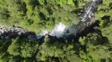 Yeşillikte Şelale Gizli Hava Ormanı. Yüksek kalite 4k görüntü