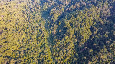 Yeşil sürdürülebilir çevre dostu otoyol.