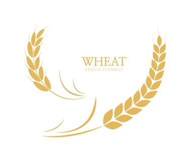 Buğday, çavdar, pirinç kulaklı. Arpa tarlası mısır gevreği. Tarım buğday şablonu. Vektör illüstrasyonu