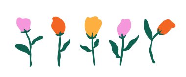 El çizimi çiçek. Soyut çiçek arkaplanı. Çiçek açan lale. vektör illüstrasyonu