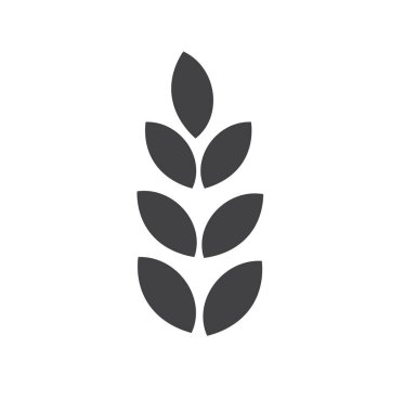 Pirinç ikonu. Buğday, çavdar, pirinç kulaklı. Arpa tarlası mısır gevreği. Buğday tanesi. Vektör illüstrasyonu