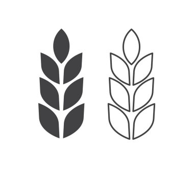 Pirinç ikonu. Buğday, çavdar, pirinç kulaklı. Arpa tarlası mısır gevreği. Buğday tanesi. Vektör illüstrasyonu