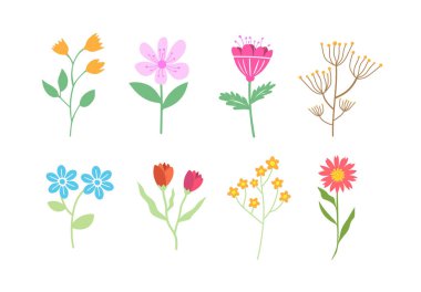 El çizimi çiçek. Tatlı bahar çiçekleri ve yaprakları. Çiçek ve botanik öğeleri. Yaprak dalı.