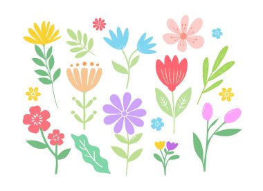 El çizimi çiçek. Tatlı bahar çiçekleri ve yaprakları. Çiçek ve botanik öğeleri. Yaprak dalı.