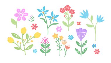 El çizimi çiçek. Tatlı bahar çiçekleri ve yaprakları. Çiçek ve botanik öğeleri. Yaprak dalı.