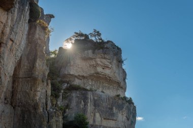 Cevennes Milli Parkı 'ndaki vahşi ve korunmuş bir vadinin manzarası. Unesco 'nun biyosfer rezervi. Gorges de la Jonte. Aveyron, Fransa.