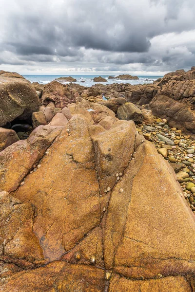 Βράχοι Καλυμμένοι Οβίδες Στην Ακτή Του Ατλαντικού Sables Olonne Vendee — Φωτογραφία Αρχείου