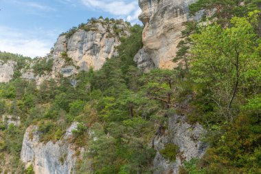 Tarn Boğazı 'nın yukarısındaki Causse Mejean' ın kornelerinde yürüyüş yaparken görülen vadiler. La bourgarie, Lozere, Fransa.