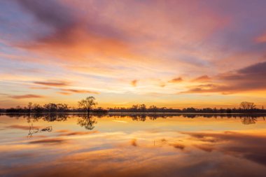 Güneş doğarken, su basmış çayır sularındaki portakal rengi gökyüzünün yansıması. Alsace, Fransa.
