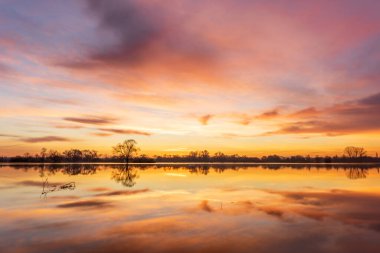Güneş doğarken, su basmış çayır sularındaki portakal rengi gökyüzünün yansıması. Alsace, Fransa.