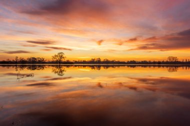 Güneş doğarken, su basmış çayır sularındaki portakal rengi gökyüzünün yansıması. Alsace, Fransa.