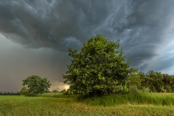Fırtınalı bir gökyüzünde yaz aylarında bir çayırın üzerinde arge fırtına hücresi. Alsace, Fransa.