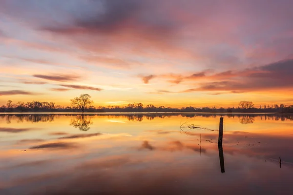 stock image Reflection of orange sky in water of flooded meadow at sunrise. Alsace, France.