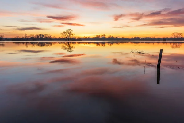 stock image Reflection of orange sky in water of flooded meadow at sunrise. Alsace, France.