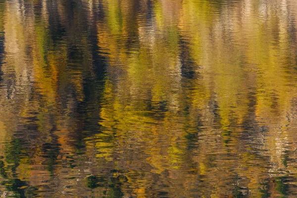 Отражения Деревьев Горном Озере Прекрасный Осенний День Lac Blanc Vosges — стоковое фото