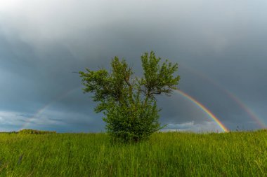 Öğleden sonra fırtınasının ortasında çift gökkuşağı beliriyor. Alsace, Fransa.