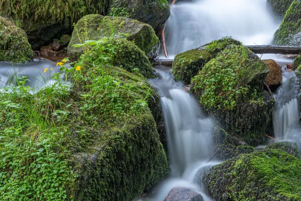Cachoeiras Frescas Bonitas Uma Torrente Montanha Primavera Serva Champ Feu — Fotografia de Stock