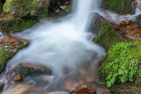 Świeże Piękne Wodospady Górskim Potoku Wiosną Serva Champ Feu Vosges — Zdjęcie stockowe