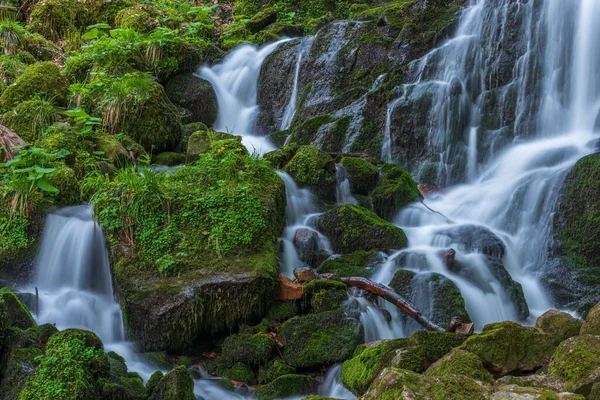 Cascades Fraîches Belles Dans Torrent Montagne Printemps Serva Champ Feu — Photo