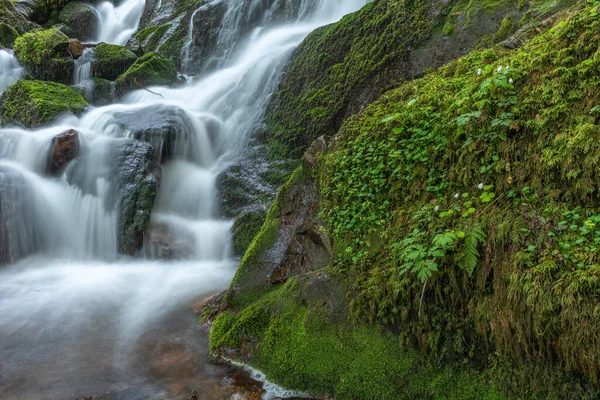 Čerstvé Krásné Vodopády Horském Přívalu Jaře Serva Champ Feu Vosges — Stock fotografie
