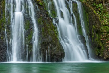 Lison 'un kaynağından gelen şelalesi ormanla çevrili bir huzur yuvası. Nans-sous-Sainte-Anne, Doubs, Bourgogne-Franche-Comte, Fransa.